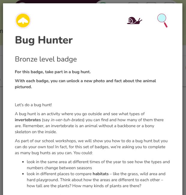 Badge activity instructions