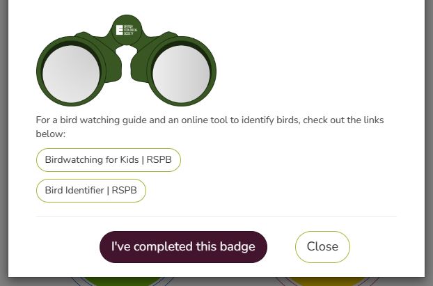 Badge activity inctructions