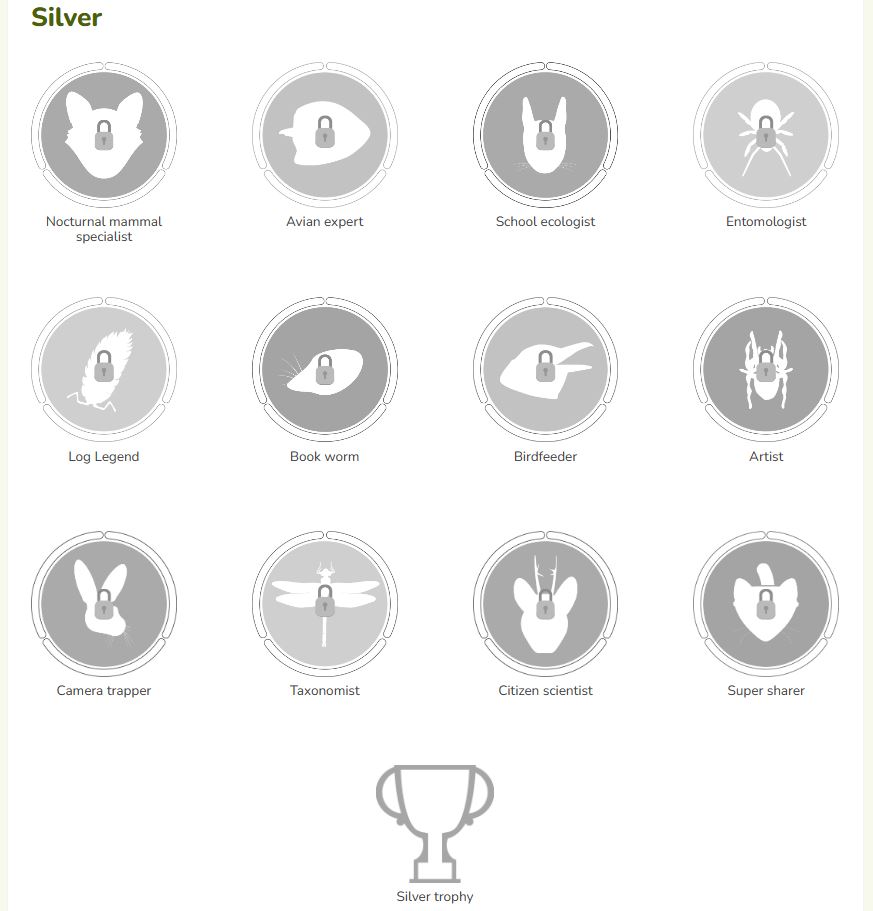 Locked silver badges
